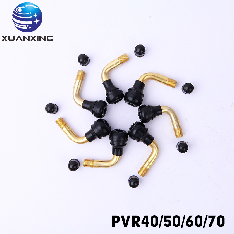 100PCS PVR70 PVR40 PVR50 PVR60 - Tubeless Valve Core 评论和价格